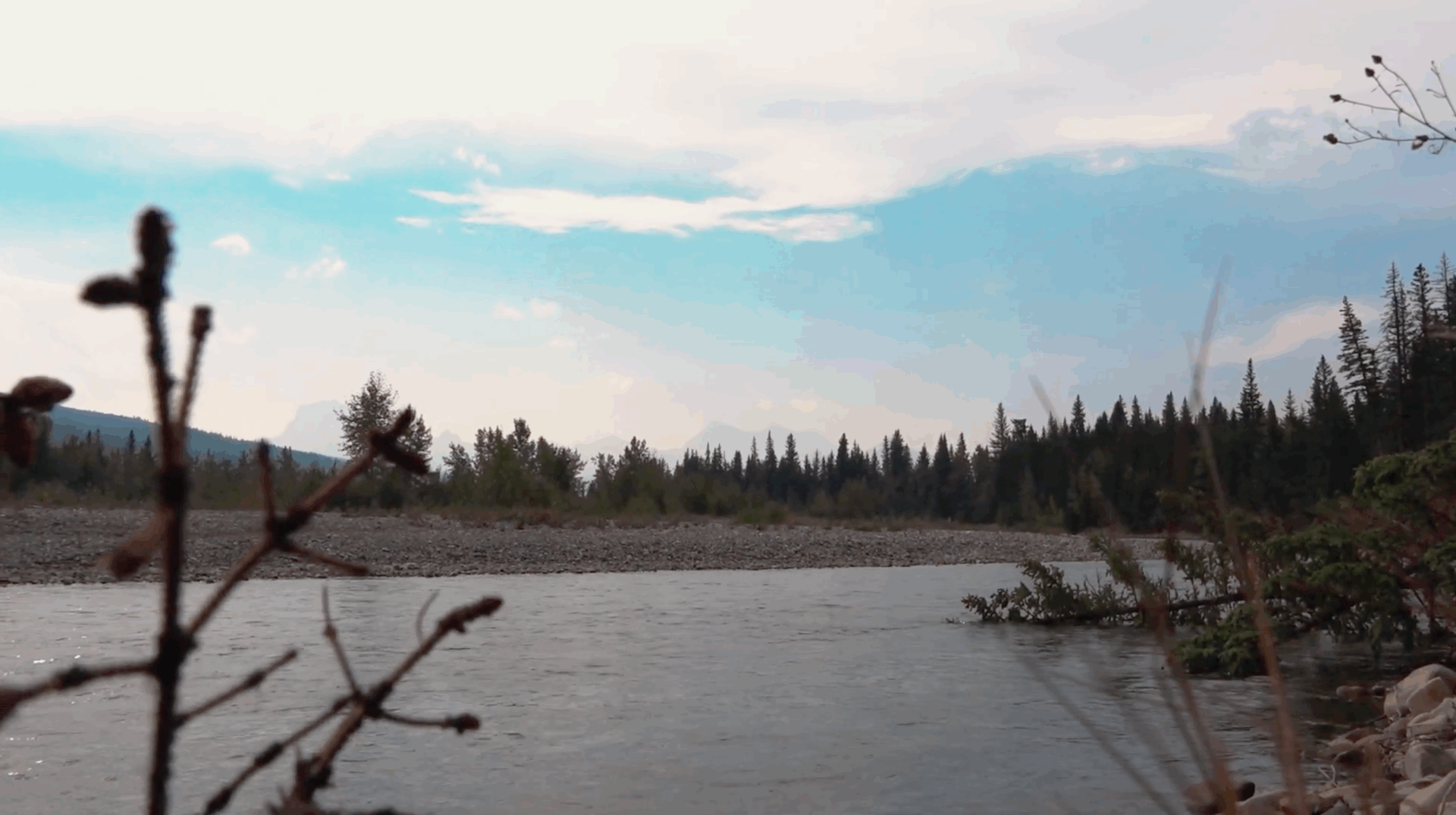 Indigenous-led Organizations Leading Transformative Change